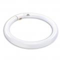 CIRCULAR - 40 W